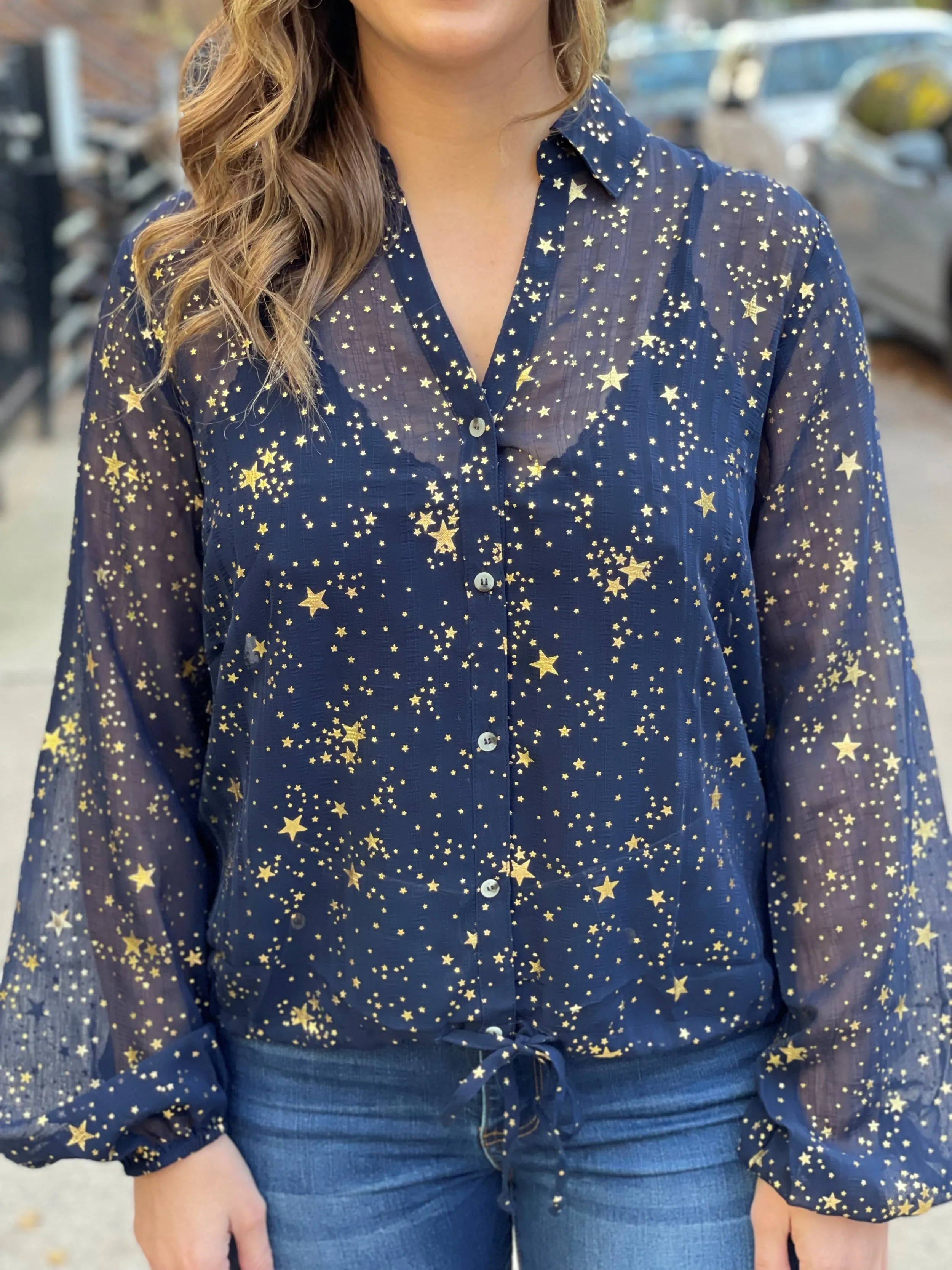 STAR-CROSSED Sheer Blouse